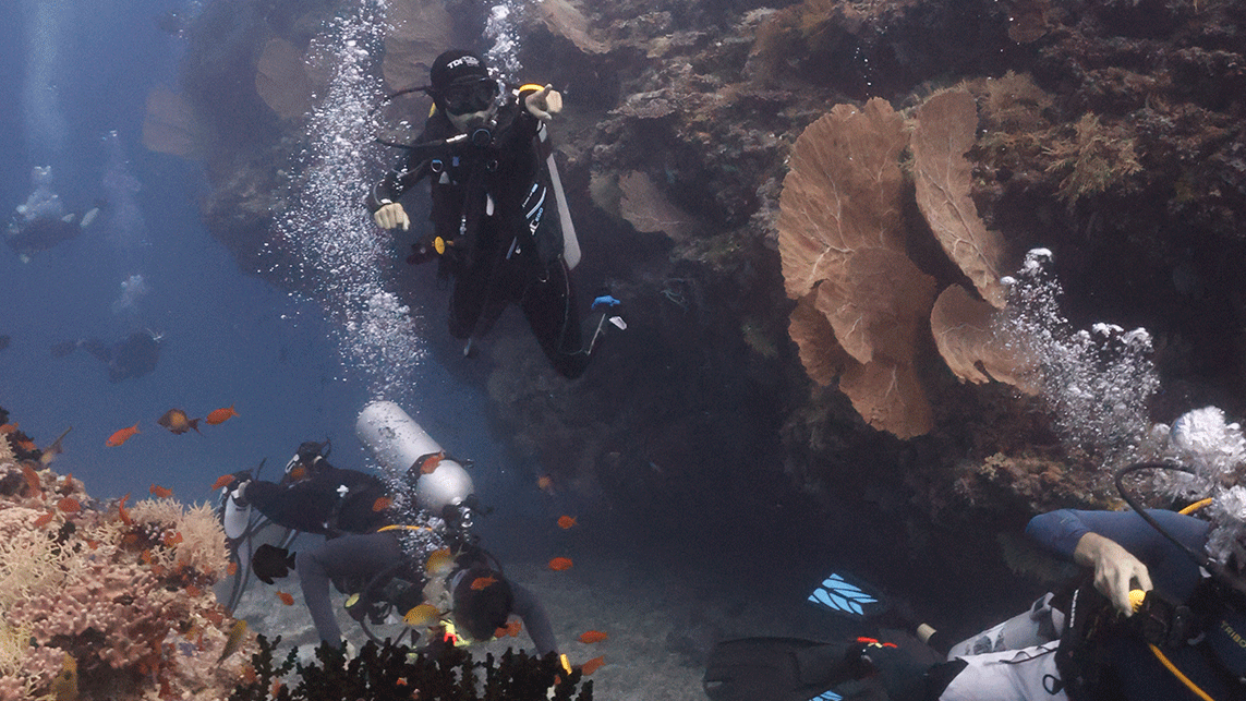 Five Rocks (Reethi Thila)